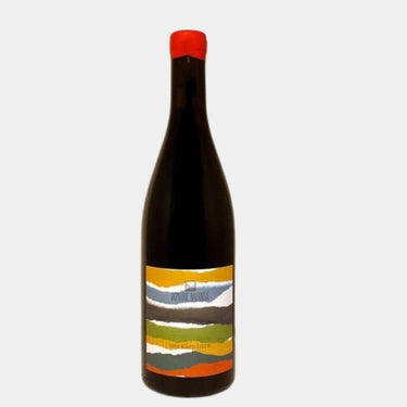 Bouteille de Versicolore 2022, vin rouge nature bio du Languedoc signé Domaine Balansa